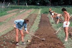 Carmel_028_1979_X_X_apprentices-working-in-the-garden_photo-courtesy-The-Chadwick-Society