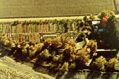 Covelo-00_07_X_X_X_Aerial-View-of-the-Garden-Project_2_photo-1970s_courtesy-Richard-Wilson