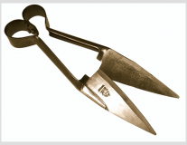 53_Garden-Tools-Equipment_Trimming-Shears
