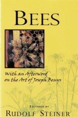 Bee Lectures