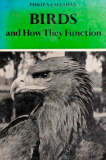 Birds & How They Function by Philip Callahan