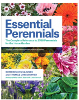 Essential Perennial Plants