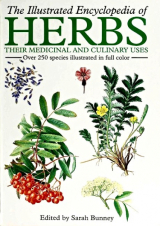 Illustrated Encyclopedia Of Herbs
