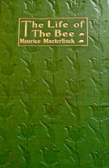 Life Of The Bee