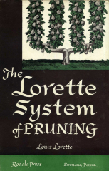 Lorette System Of Pruning