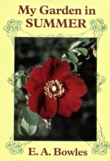 My Garden In Summer_by E. A Bowles_Suggested Further Reading