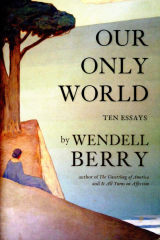 Our Only World Essays