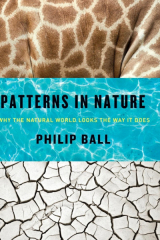 Patterns In Nature