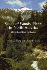 Seeds Of Woody Plants In North America
