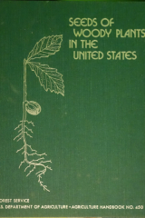 Seeds Of Woody Plants In The United States