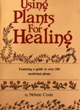 Using Plants For Healing