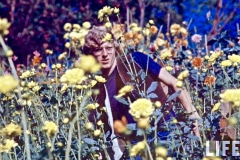 UCSC Chadwick Garden Photo by Greg Villet for Life Magazine, 1970