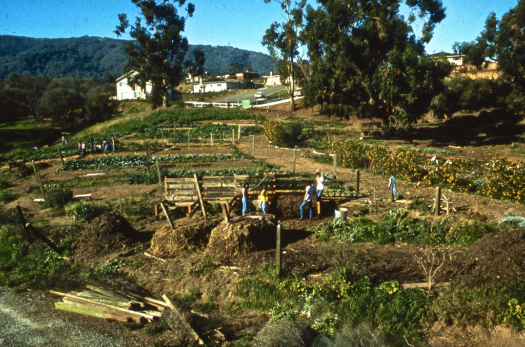 Saratoga Community Garden